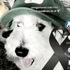 nico_gamers