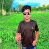 dmsifat7