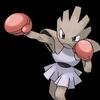 hitmonchan666