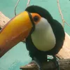 notanaustralian420