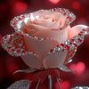 pbegum915