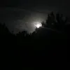 dyo2hliwgx6p