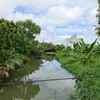 www.tiktok.brian.1982