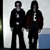 viperrdoubler9mice