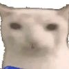 brianzzzz1