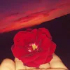 mariellabella1
