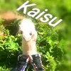 kaisu1.0