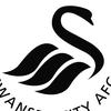 swansproclubs