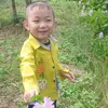 hungdongtha