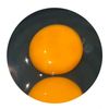 noknoi7059