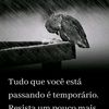 mimidomingos678