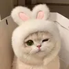 wydcat_