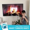 ahmettosun231