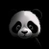 hanan5635