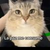 lapazmeconsumeje