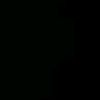 leg_2008n