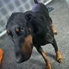 andy_zeus26