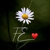 floralemy