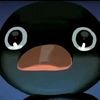 nazz_lpnm