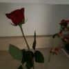 getsyminy78