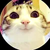 mathieu_r_77