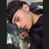 leinad_z12