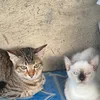 bhey071513.com