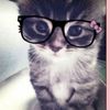 fatoo_haqyar