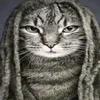 czionnantallan