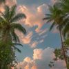 abirvai3115
