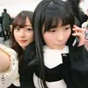 cono_331