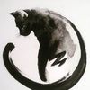 robin_ep