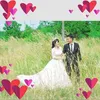 nguyenhong250291