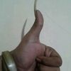 iway097