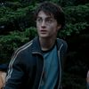 a.potter08