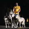 wolves.fc11
