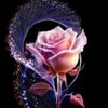 anikaahmad712
