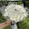 kcha.sha5507