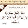 nser26531306784348