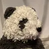 pandu_of_mercia