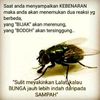 yuni.purnama