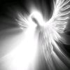 angelina_314