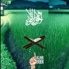 rahimrahim3720