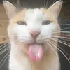 z3n_bb