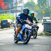 beruang.naik.hiu