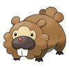 bidoof.official