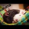 amyplayz37