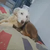 fernando06031959