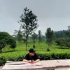 baabaahh_cuki