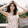 jsme_1746